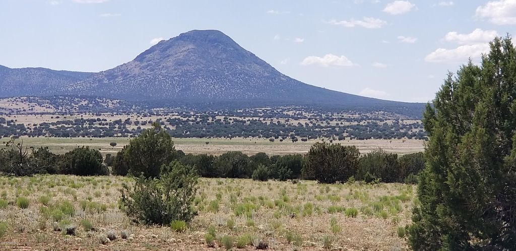 W  Antelope Run Rd, Ash Fork, AZ 86320