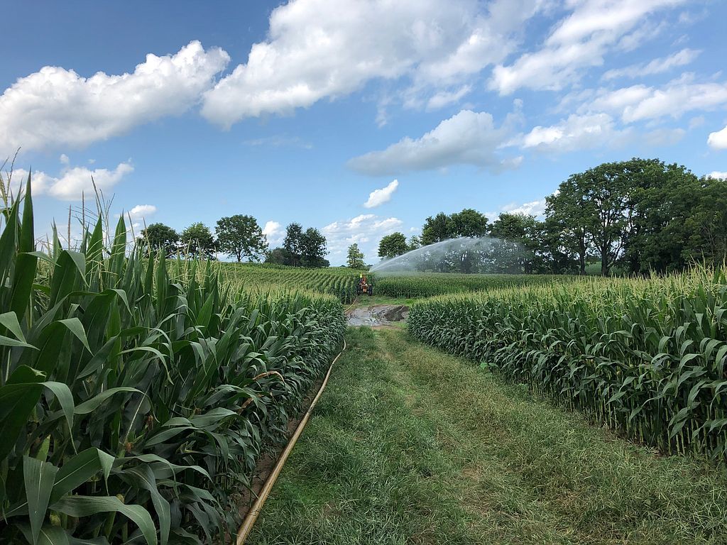 US Highway 12, White Pigeon, MI 49099 Trulia