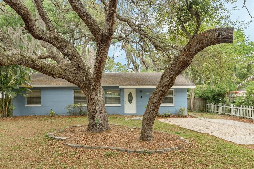 178 E  Alma Ave, Lake Mary, FL 32746