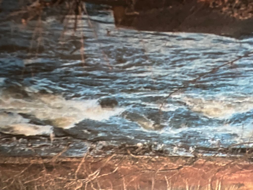 10 Clark St, Taberg, NY 13471 Trulia