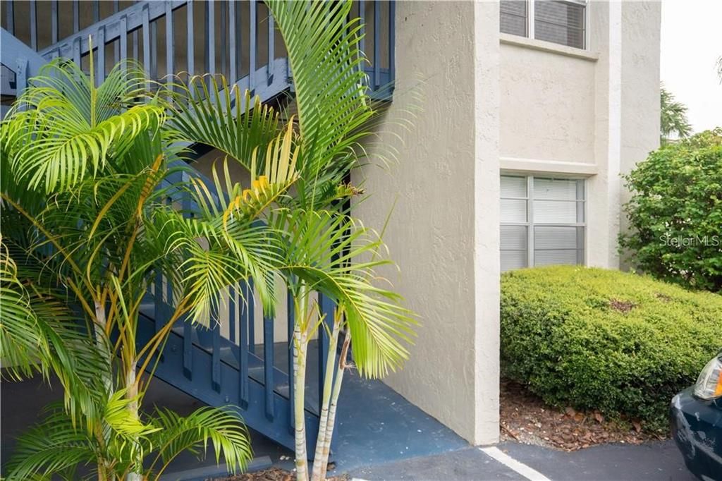 304 S Habana Ave #A4, Tampa, FL 33609