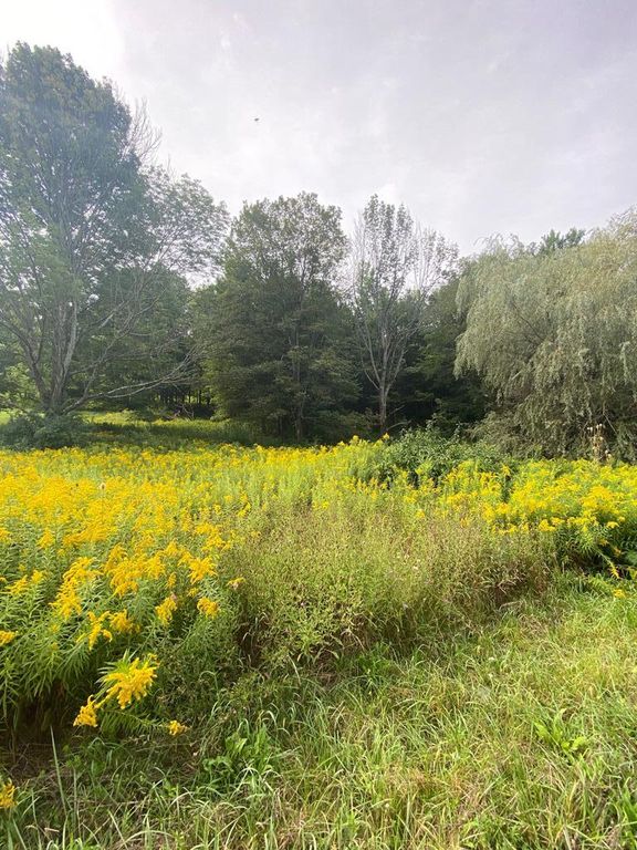 3018 Ridgebury Rd, Sayre, PA 18840 Trulia