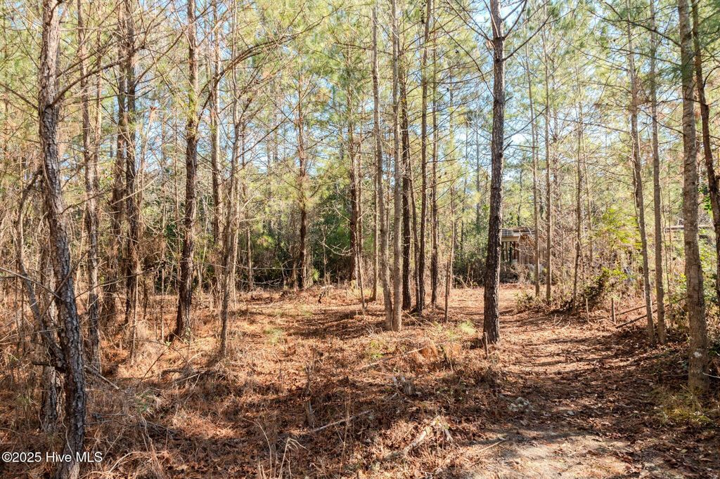 6725 Sandy Run Drive NE, Leland, NC 28451