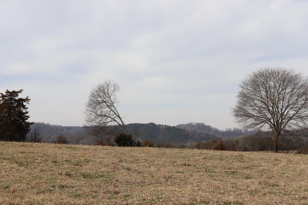 1429 Oak Grove Rd, Madisonville, TN 37354 Trulia