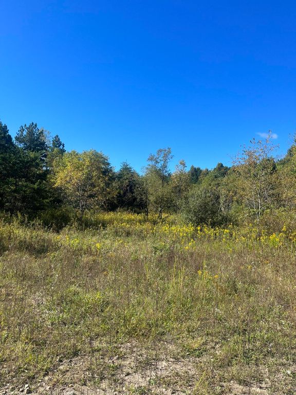 Tlc Ln, Summersville, WV 26651 Trulia