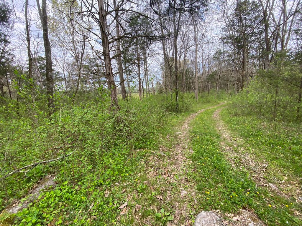 Melzoni Dr, Pennington Gap, VA 24277 MLS 9937351 Trulia