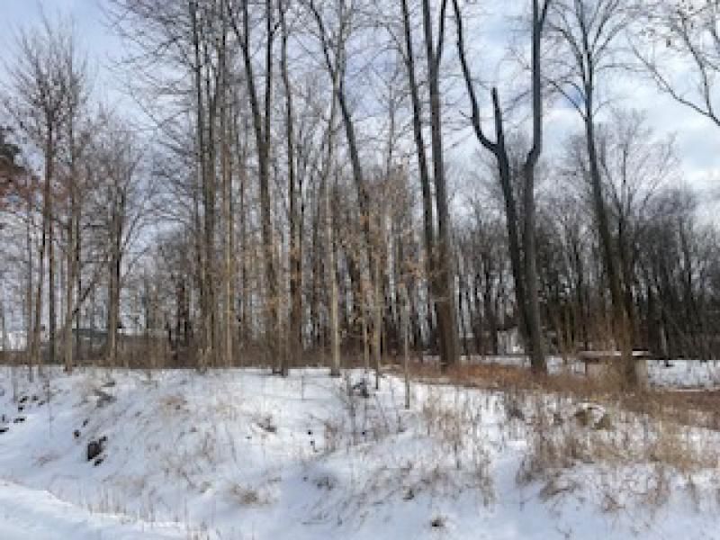 Hunt Rd, Mayville, MI 48744 Trulia