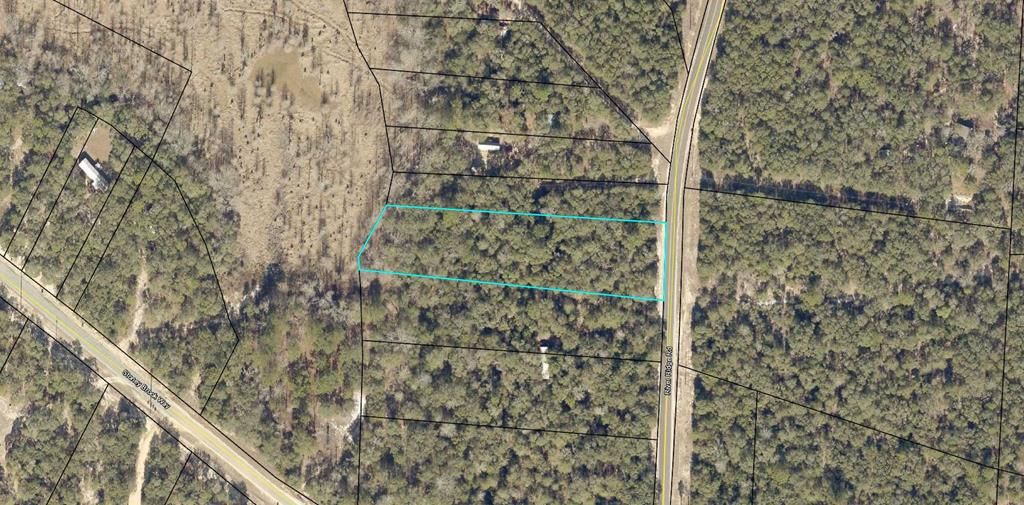 2162 River Ridge Rd, Reidsville, GA 30453 Trulia