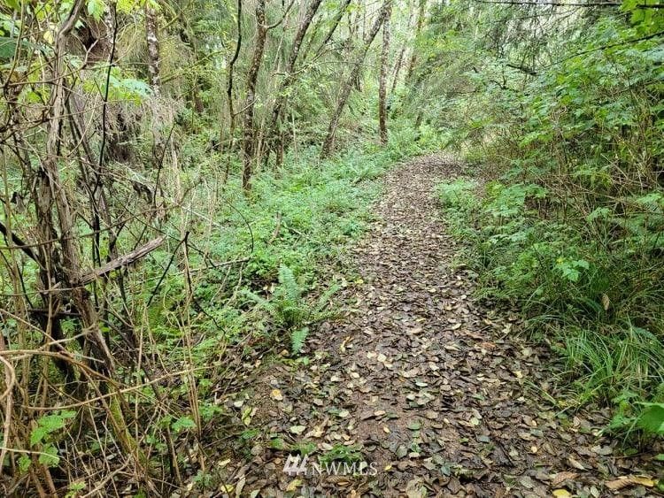 111 Astoria Lane, Westport, WA 98595 Trulia