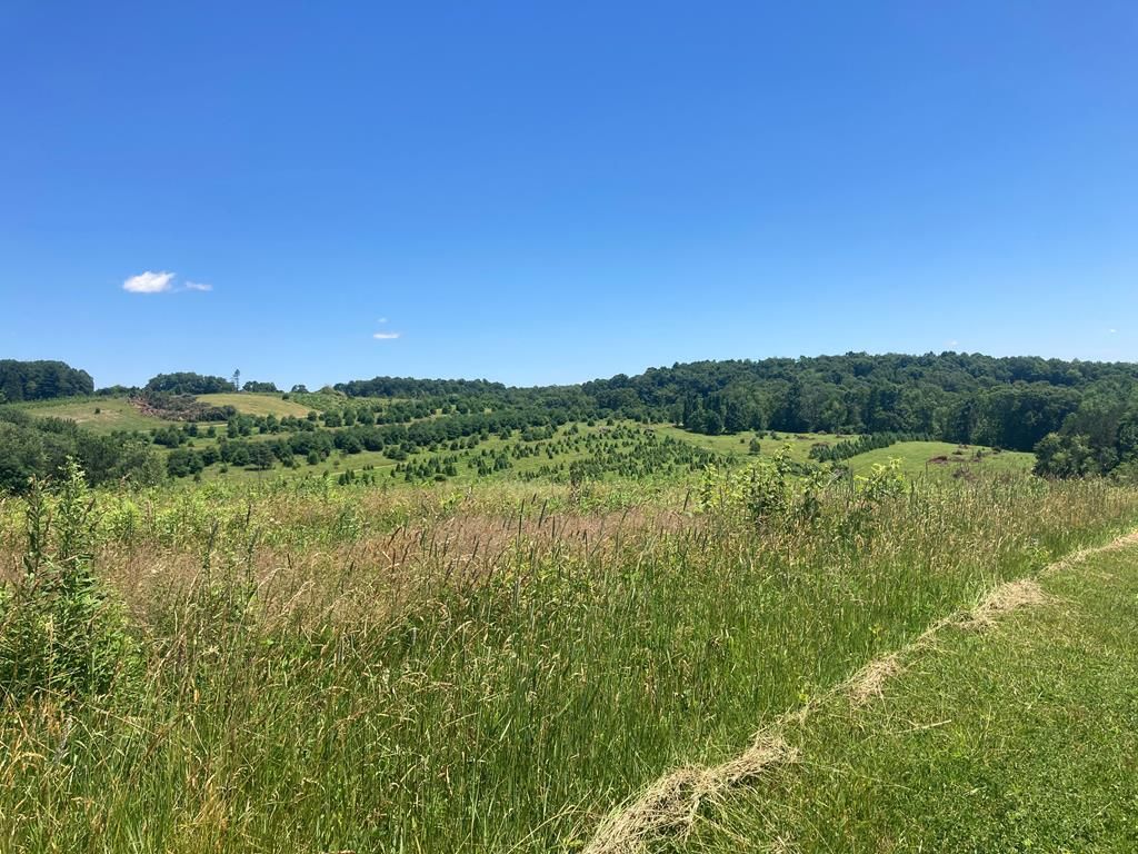 Garber Rd 2, Bellville, OH 44813 Trulia