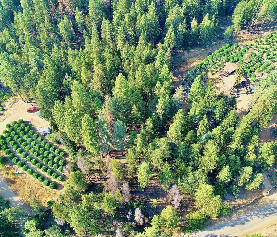 1781 Trinity Pines Dr, Hayfork, CA 96041 Trulia