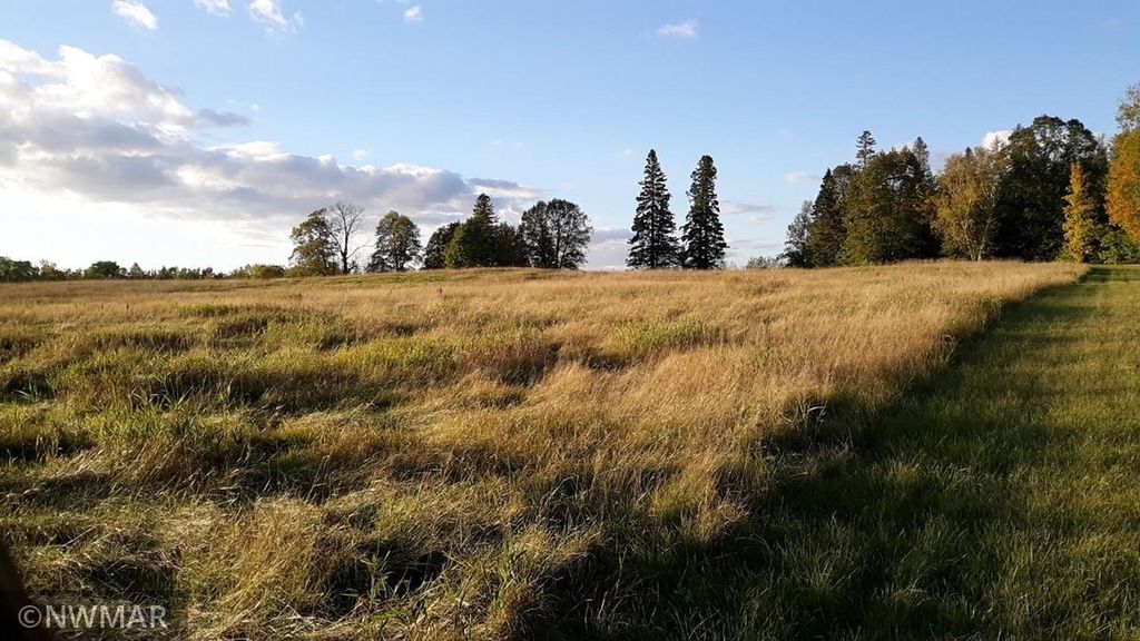 New Sp Silver Maple Rd, Puposky, MN 56667 Trulia