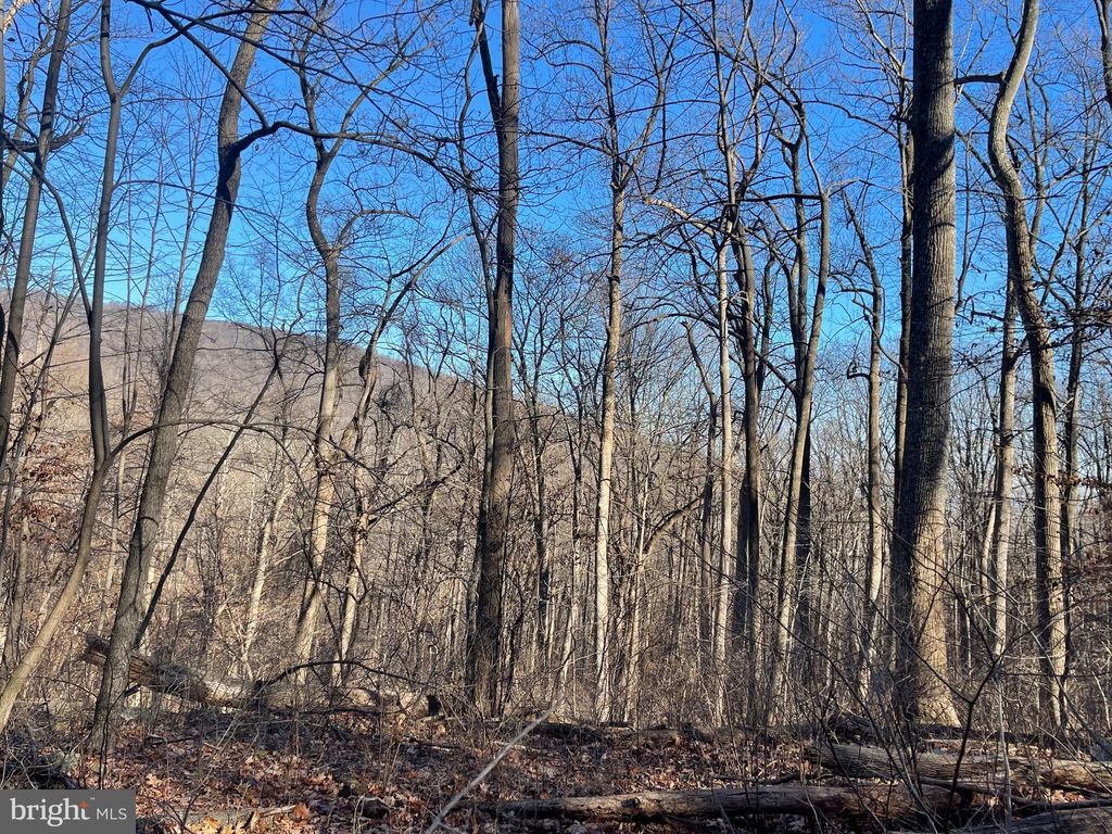 Old Mount Weather Rd, Bluemont, VA 20135 Trulia