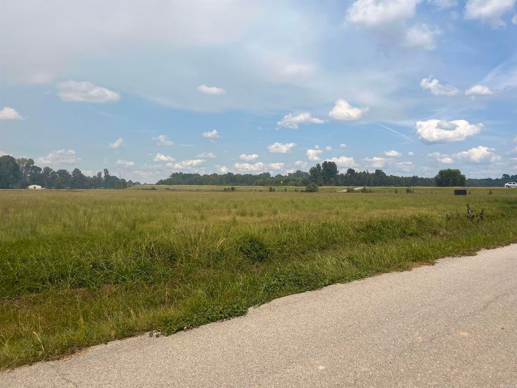 State Highway 412 Bypass Everett Drive Lots 2 &3, Paragould, AR 72450