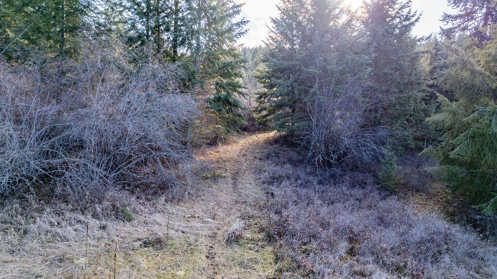 102X Mingo Mountain Rd, Kettle Falls, WA 99141 Trulia