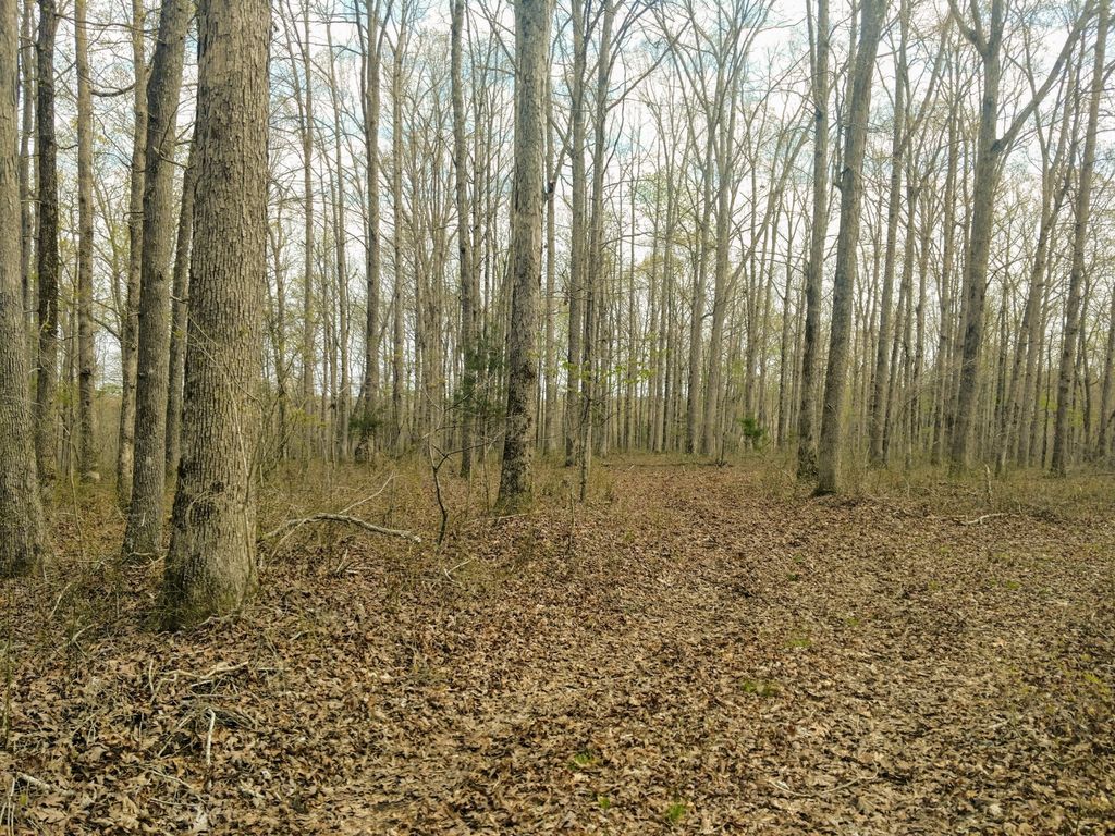 Natchez Trace Pkwy, Duck River, TN 38454 Trulia