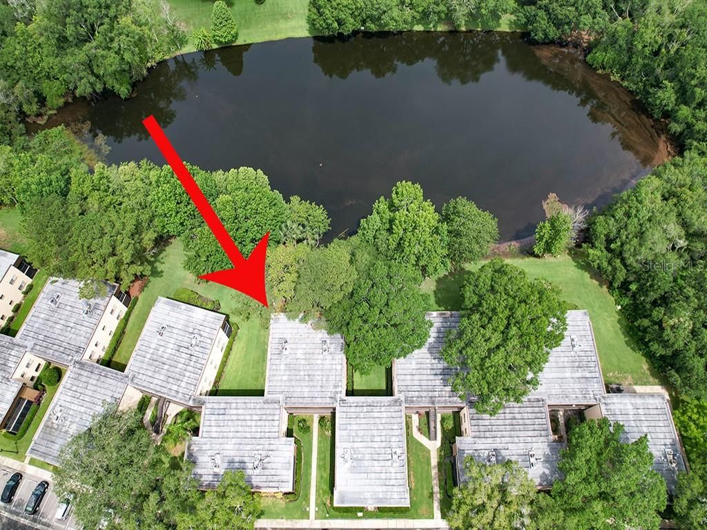 11814 Raintree Lake Ln C, Temple Terrace, FL 33617 Trulia