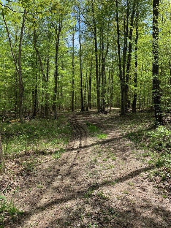 Irish Rd, Edinboro, PA 16412 Trulia