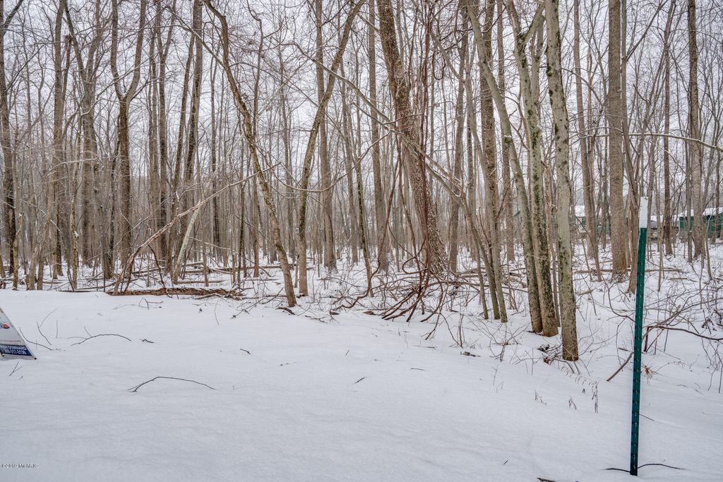 Mill Lake Rd, Gobles, MI 49055 Trulia