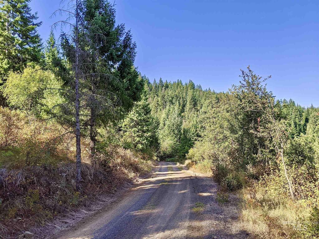 Sun Mountain Rd 1, Orofino, ID 83544 MLS 98886345 Trulia