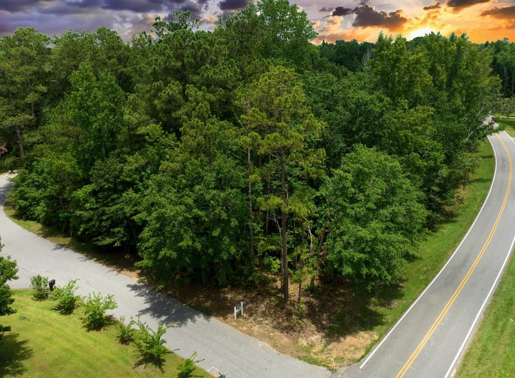 1 S Lake Dr, Ellerslie, GA 31807 Trulia