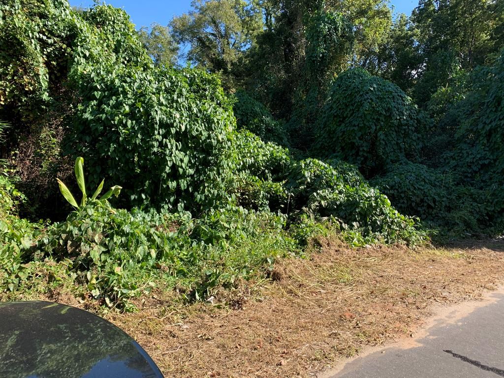 Lots 25 Hall St, Bainbridge, GA 39819 Trulia