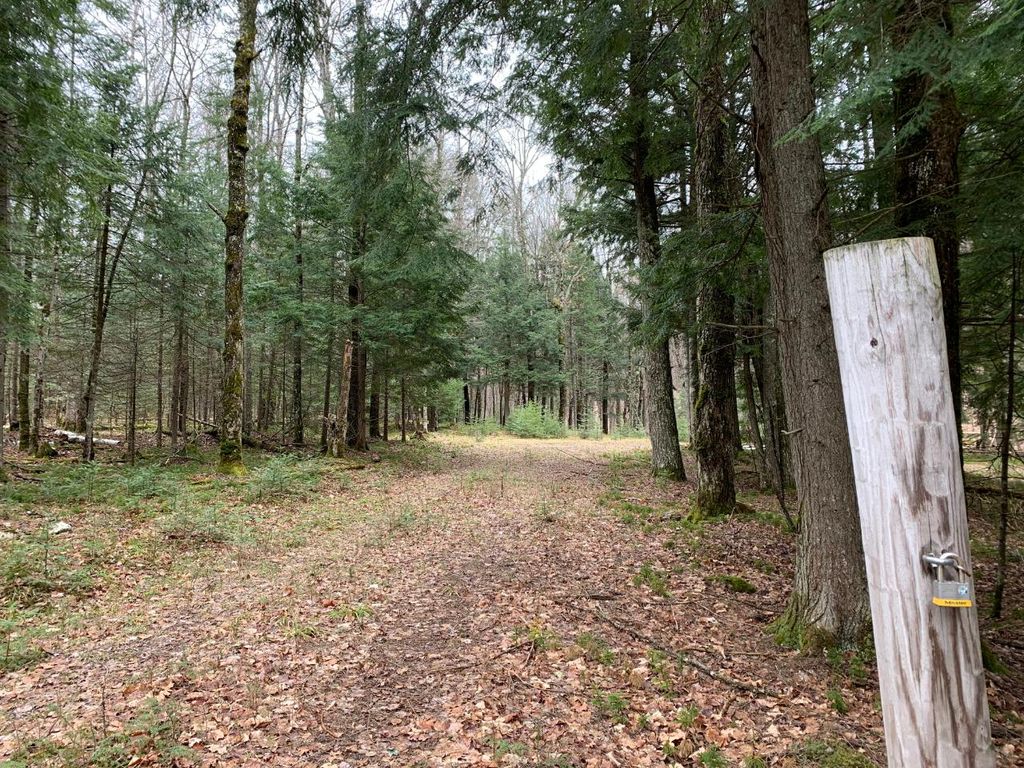 Duck Lake Rd, Watersmeet, MI 49969 Trulia