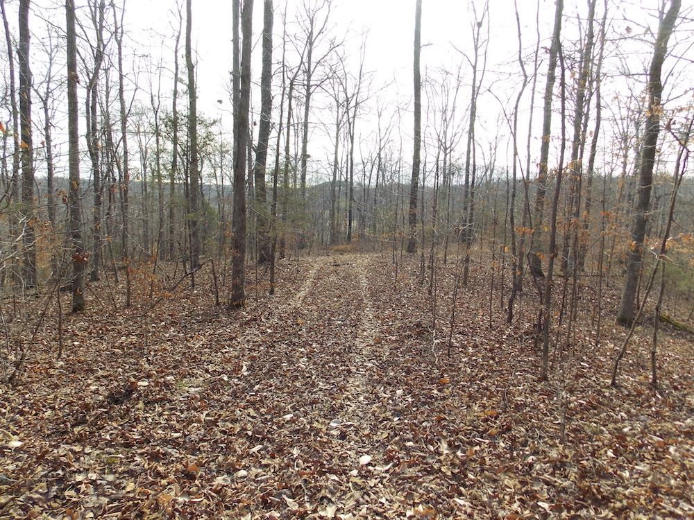 Old Highway 13 N, Linden, TN 37096 Trulia