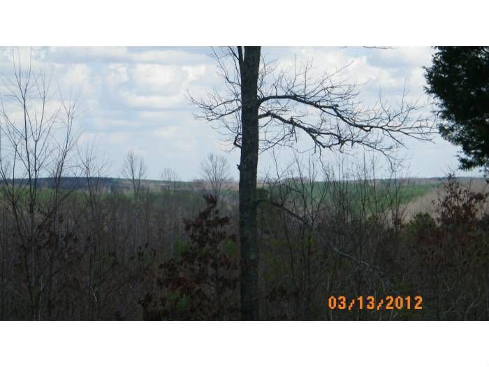 2316 Buffalo Rd, Hohenwald, TN 38462 Trulia