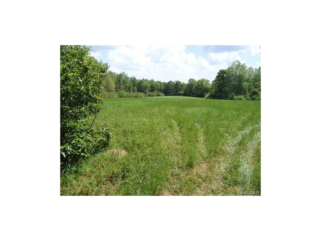 10 Highway 87, Jack, AL 36346 Trulia