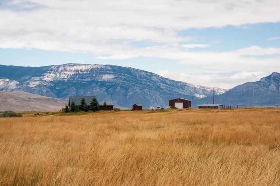 39 Cattle Dr, Cody, WY 82414
