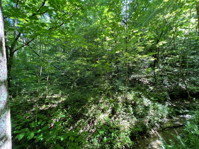 9999 Big Wildcat Rd, Manchester, KY 40962 Trulia