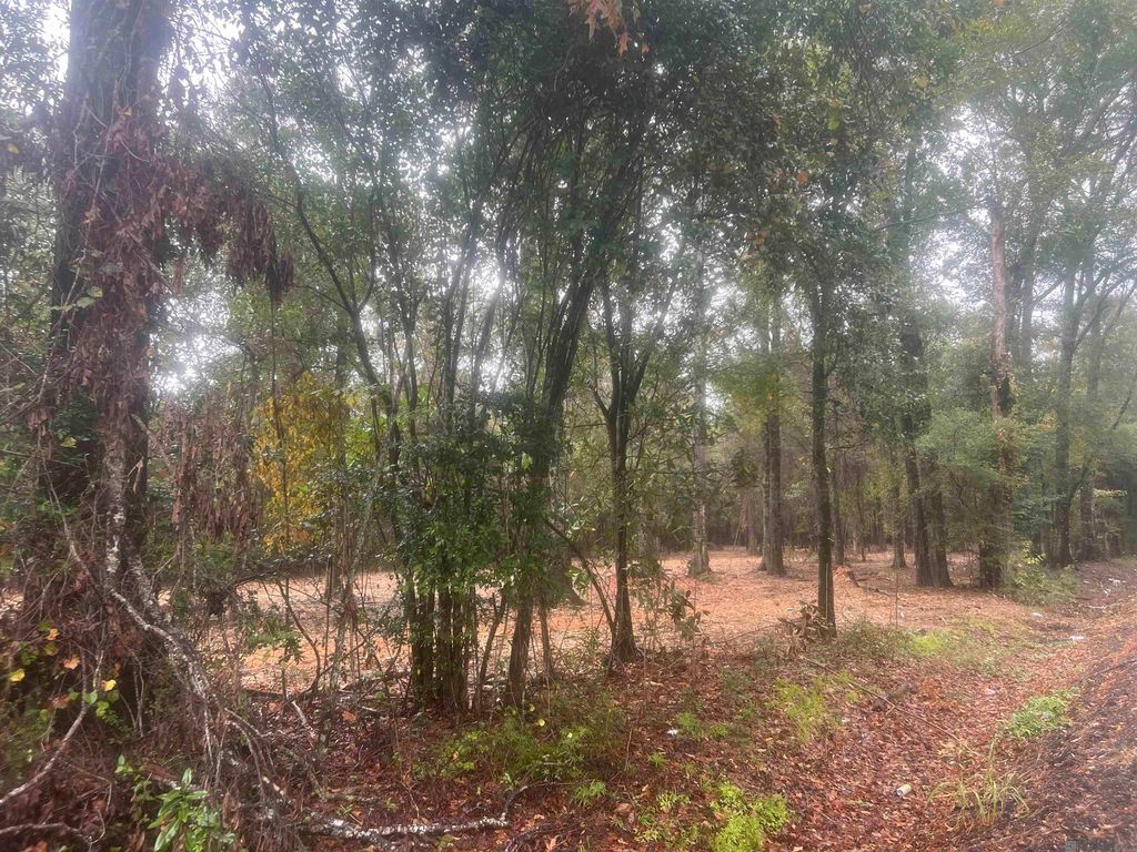 State Highway 957 111, Ethel, LA 70730 Lot/Land for Sale MLS 2024020293