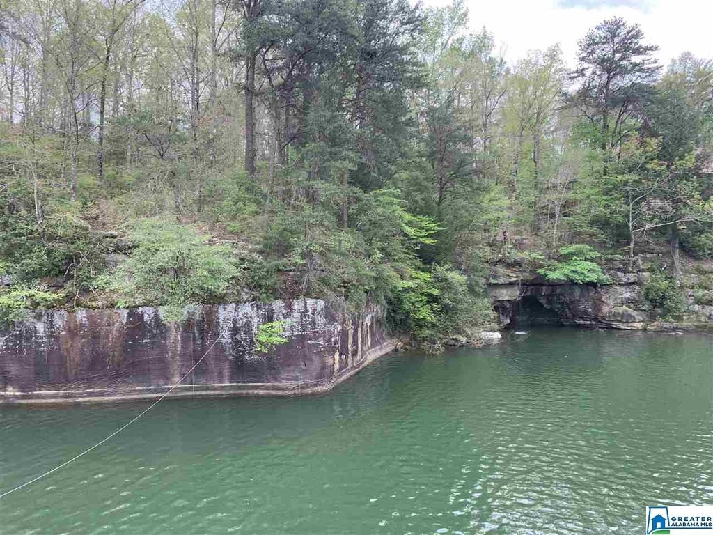 Sipsey Pines Rd 132, Arley, AL 35541 Trulia