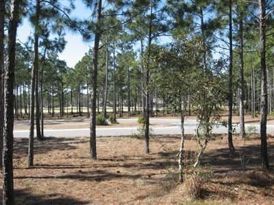 595 Wicklow Square, Ocean Isle Beach, NC 28469