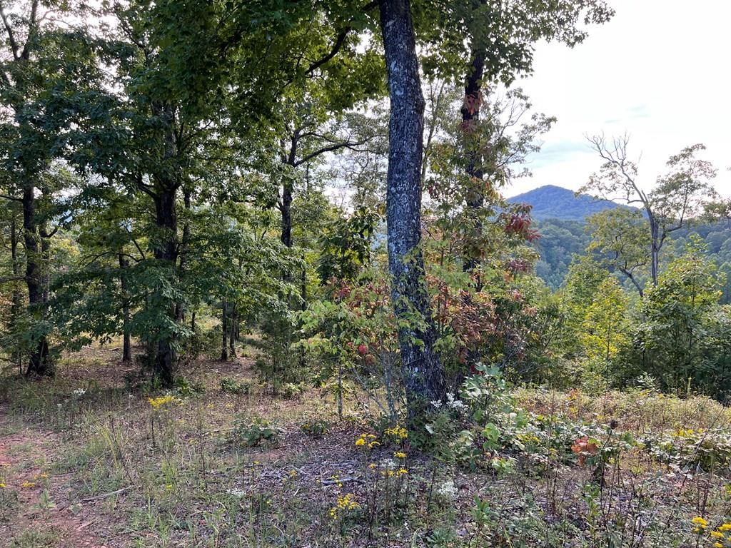 LOT Knoll Dr F, Franklin, NC 28734 Trulia