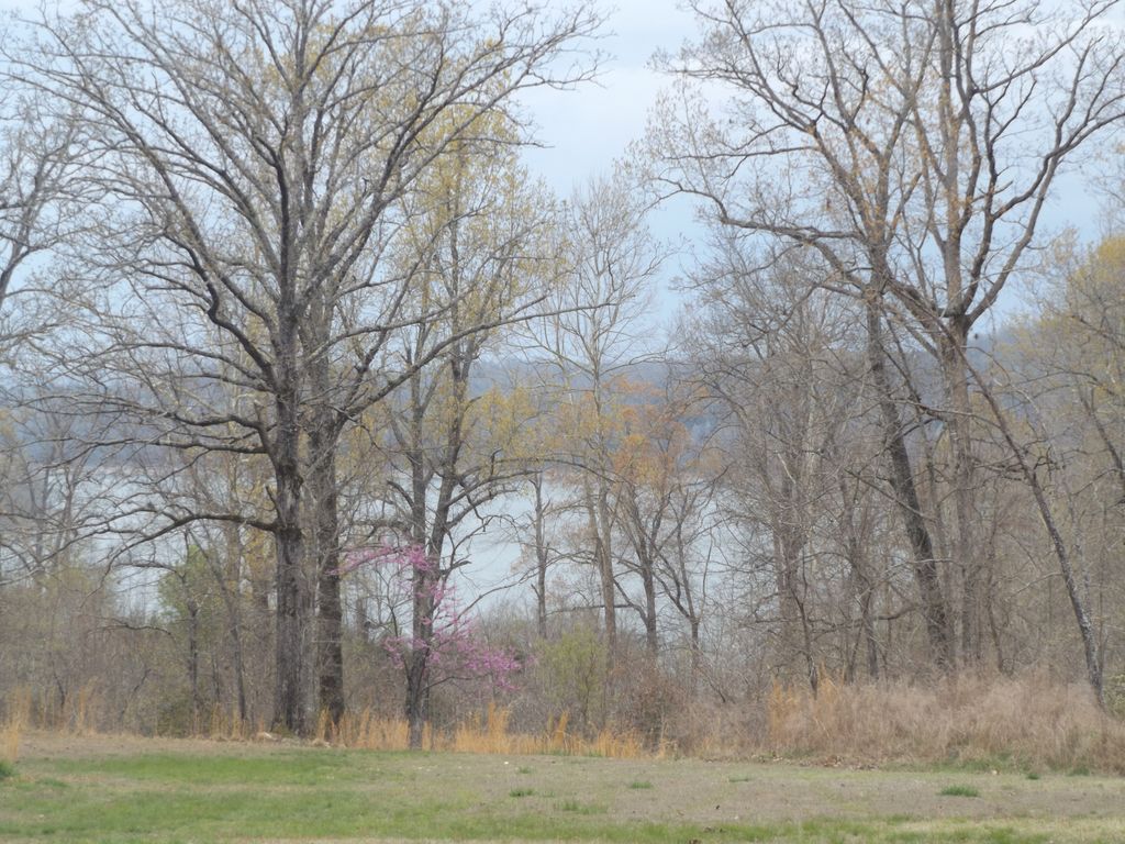 Lake Point Royale 6, Clarkridge, AR 72623 Trulia