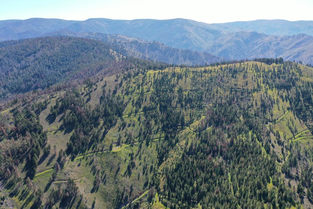 Pine Creek Rd, Shoup, ID 83469 MLS 23331268 Trulia