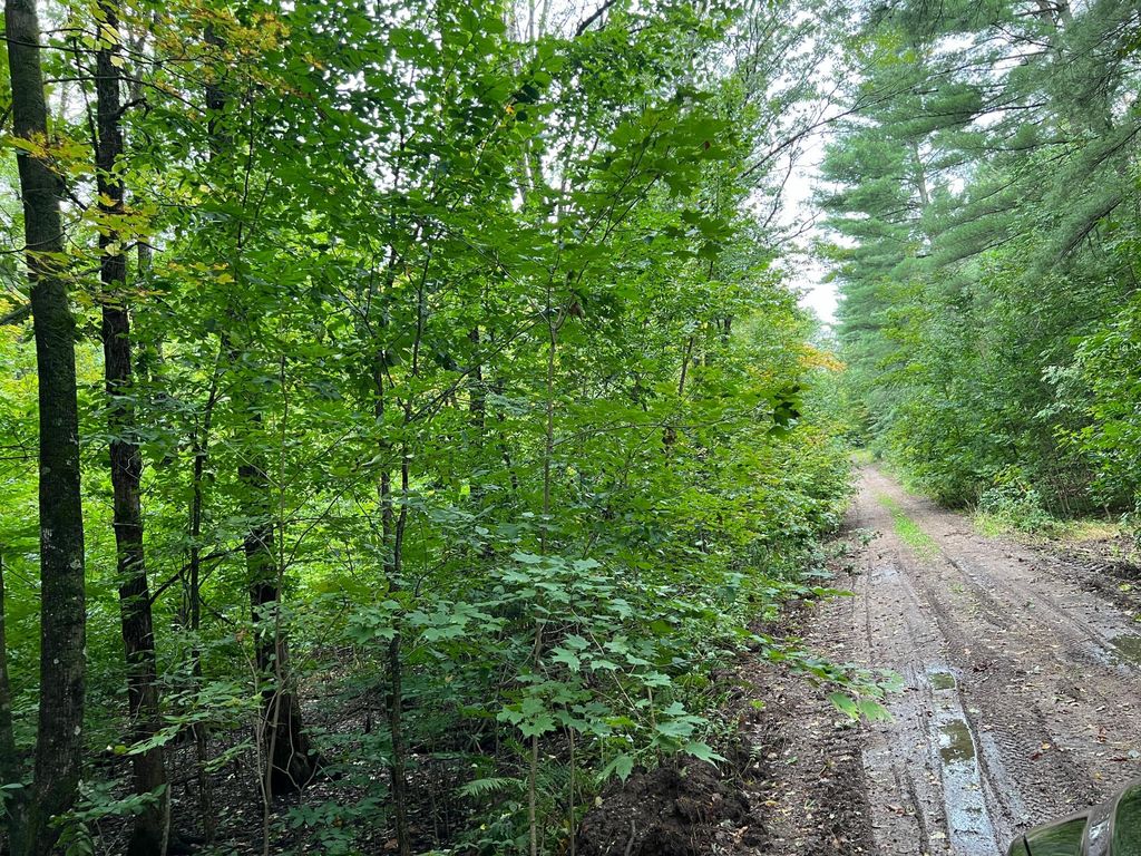 1240 240th Ave, Luck, WI 54853 MLS 6607640 Trulia