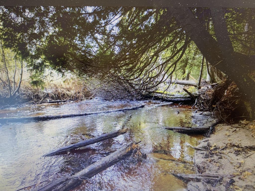 Hiawatha Trl, Naubinway, MI 49762 Trulia