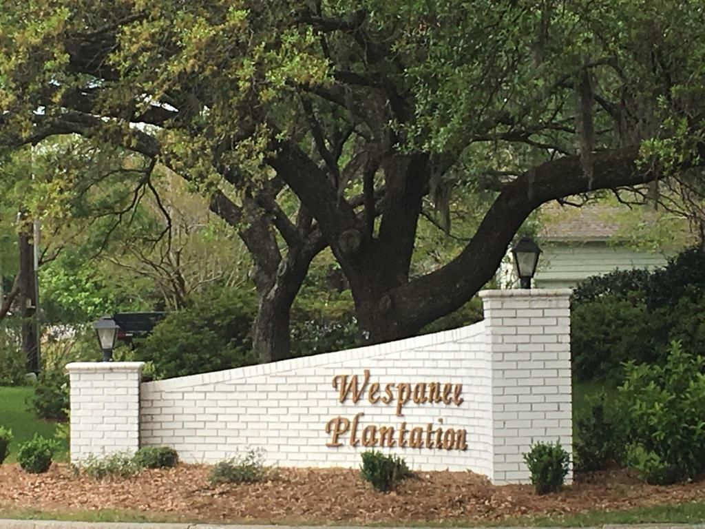 Fort Royal Ave, Charleston, SC 29407 Trulia