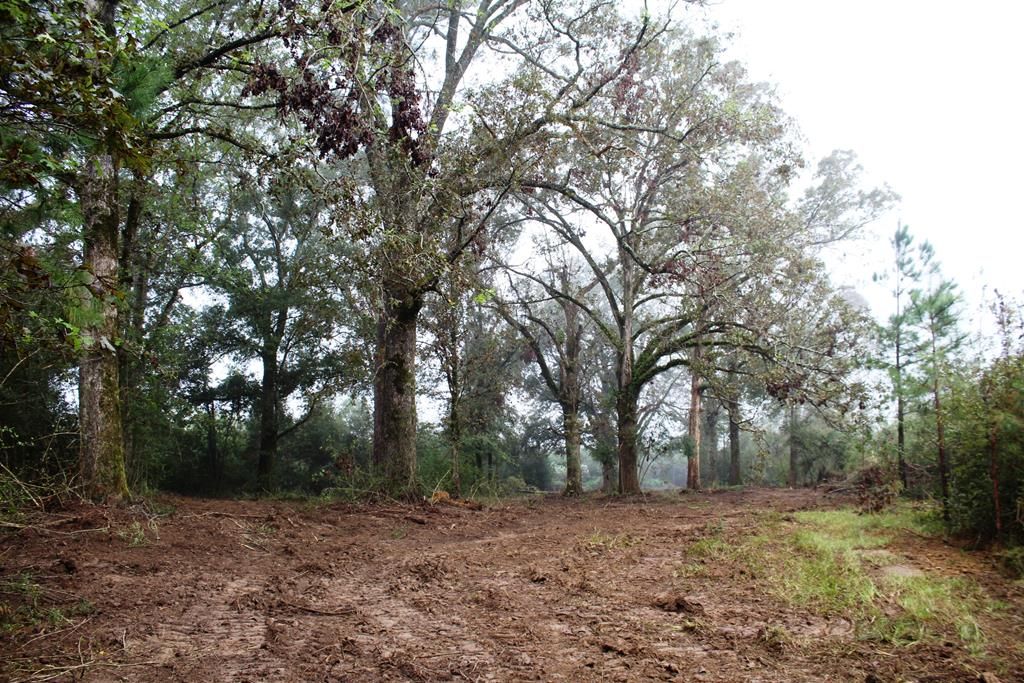 State Line Rd, Osyka, MS 39657 Trulia