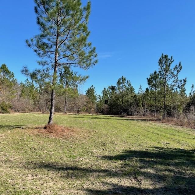 Pineville Rd, Buena Vista, GA 31803 MLS 209065 Trulia