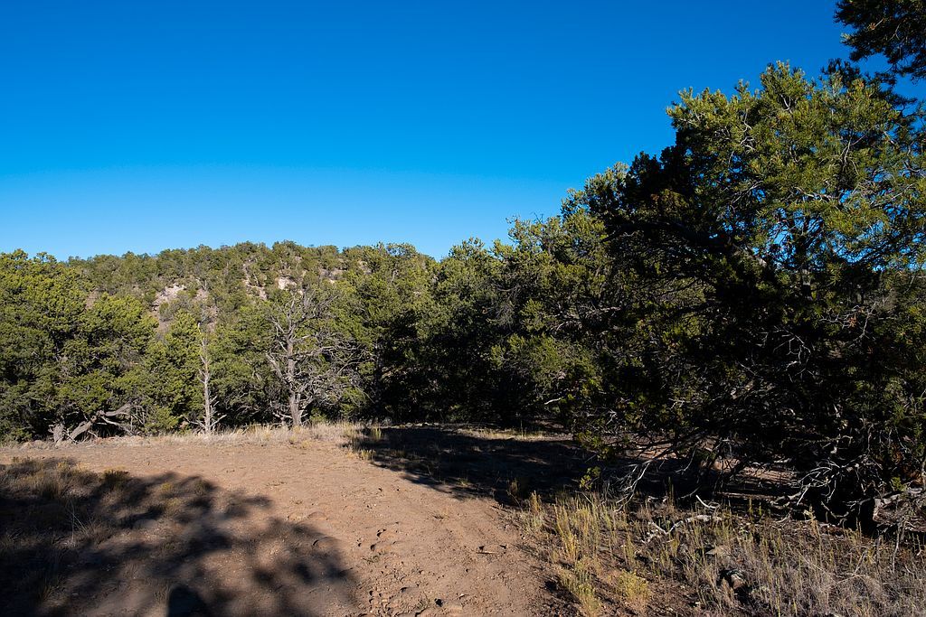 Starfire Dr, Quemado, NM 87829 See Est. Value, Schools & More