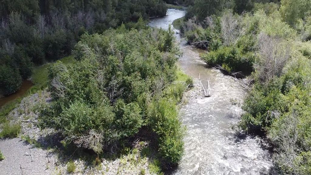 Larkspur Way, Chama, NM 87520 Trulia