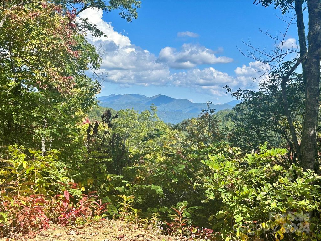 Middle Rdg, Whittier, NC 28789