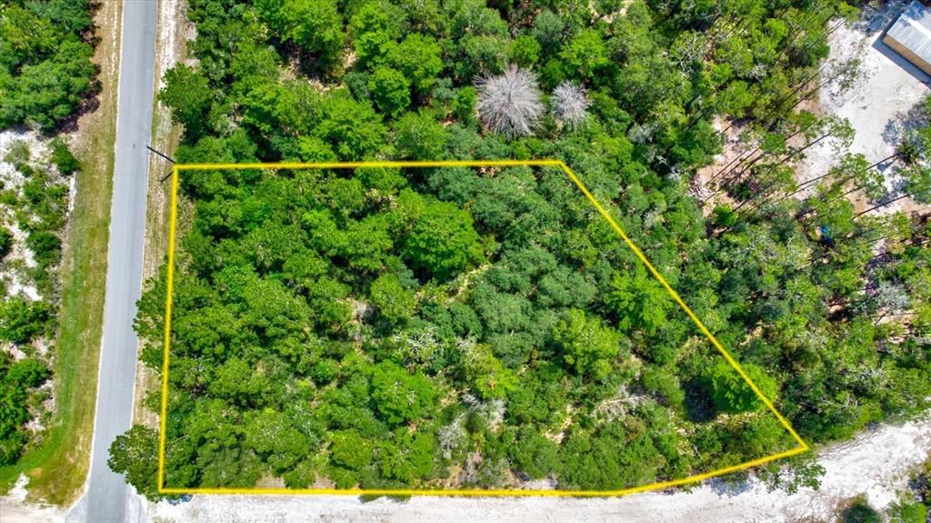 200 Whispering Pines 11, FL 32139 Trulia