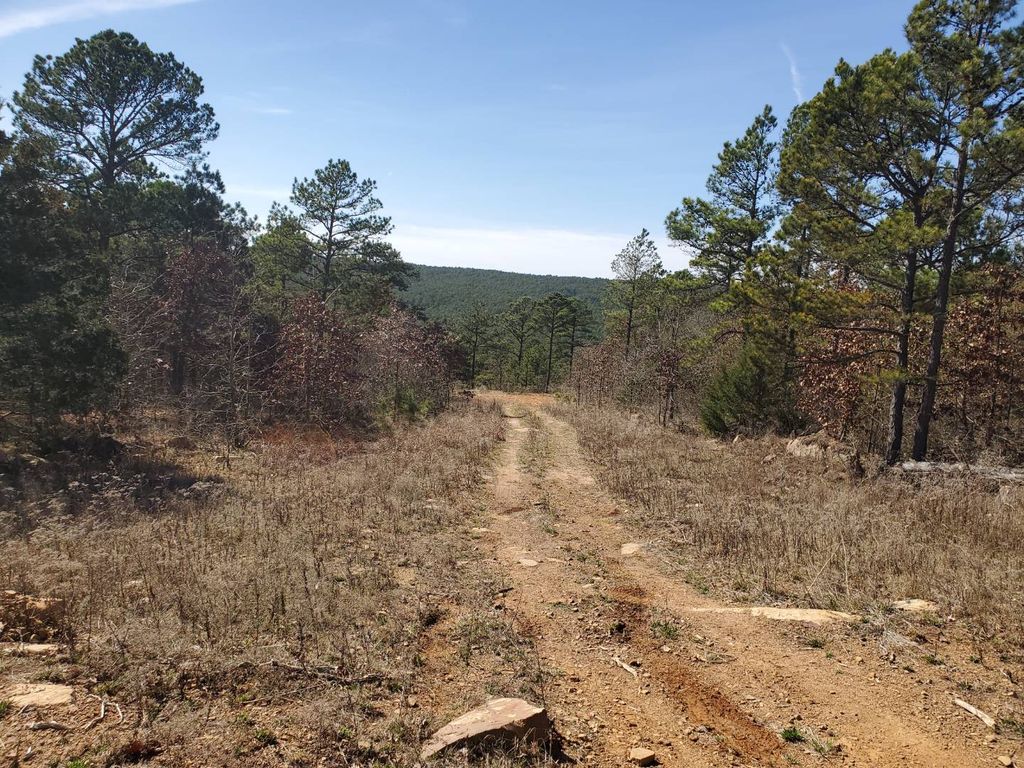 1 Lightning Rdg, Antlers, OK 74523 Trulia