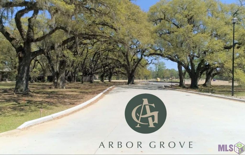 13545 Pointe Au Chene Dr 55, Baton Rouge, LA 70818 MLS 2024012377