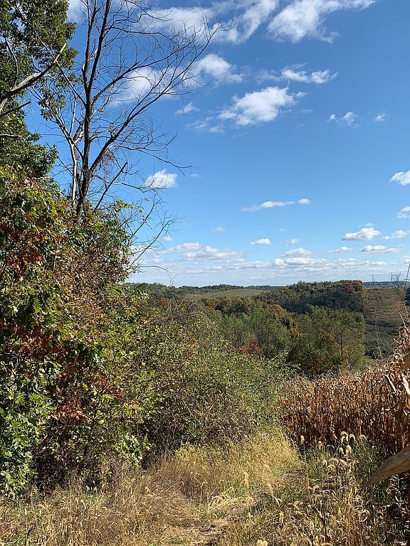 4000 Township Rd 1239, Dresden, OH 43821 Trulia